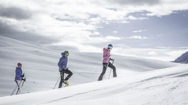 Immagine: Sci di fondo e ciaspolate