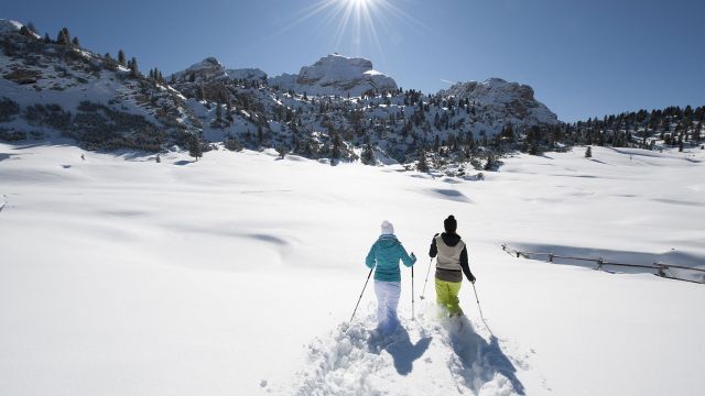 Immagine: Sci di fondo e ciaspolate